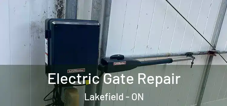  Electric Gate Repair Lakefield - ON