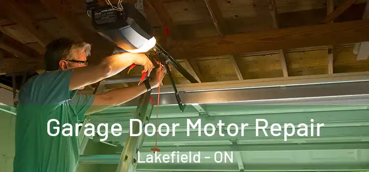  Garage Door Motor Repair Lakefield - ON