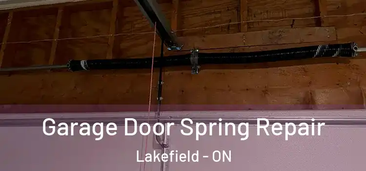  Garage Door Spring Repair Lakefield - ON