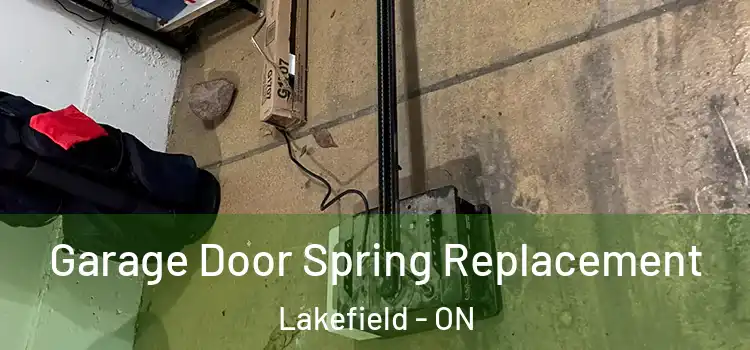  Garage Door Spring Replacement Lakefield - ON