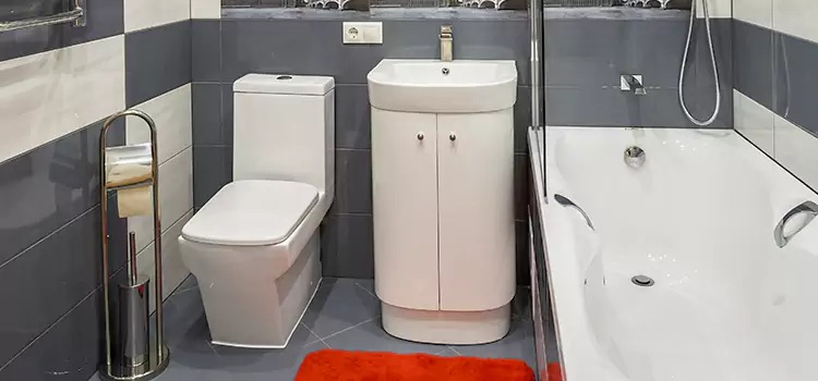 Hansgrohe Shaving Mirror Lakefield